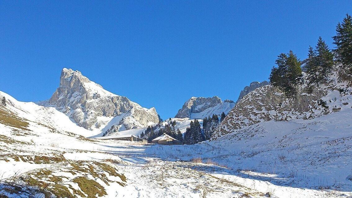 L'Ourserie Bed & Breakfast Saint-Paul-en-Chablais Zimmer foto