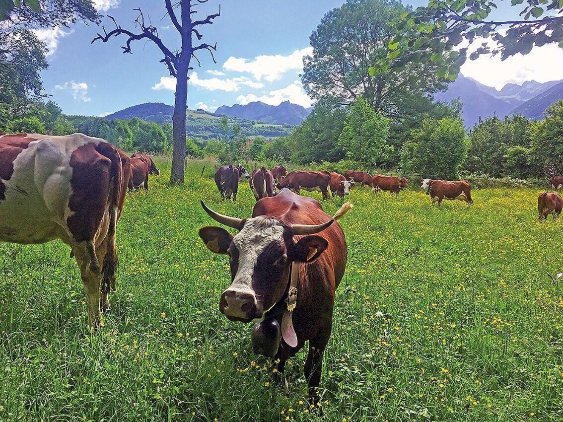 L'Ourserie Bed & Breakfast Saint-Paul-en-Chablais Zimmer foto